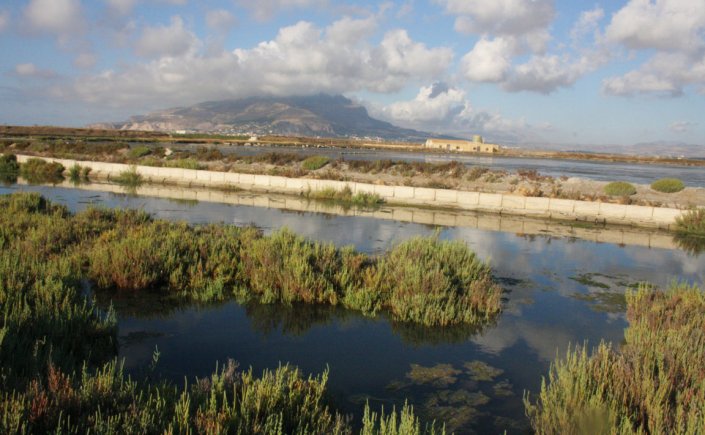 Trapani salt pans with Erice view
